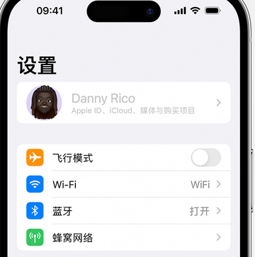 永川appleID维修服务iPhone设置中Apple ID显示为灰色无法使用