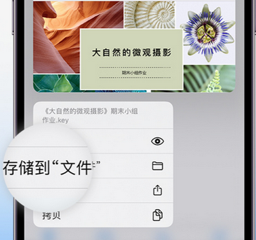 永川apple维修中心分享iPhone文件应用中存储和找到下载文件