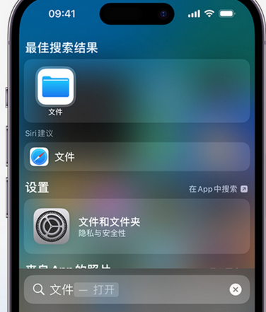 永川apple维修中心分享iPhone文件应用中存储和找到下载文件 