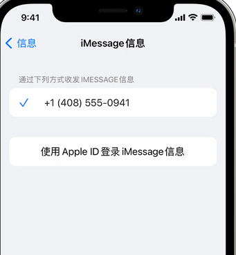 永川apple维修iPhone上无法正常发送iMessage信息 