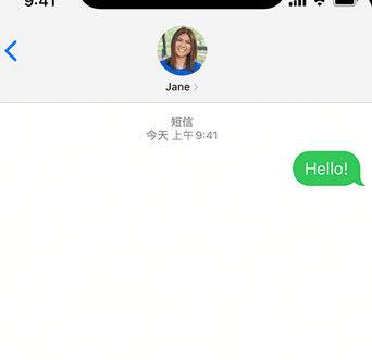 永川apple维修iPhone上无法正常发送iMessage信息