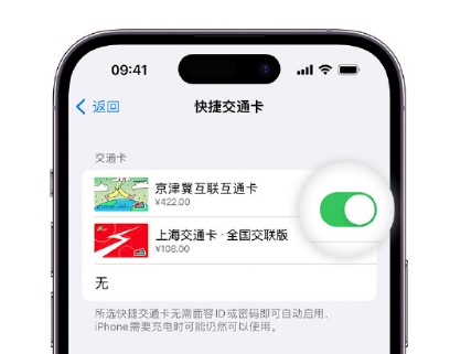 永川apple维修点分享iPhone上更换Apple Pay快捷交通卡手绘卡面 