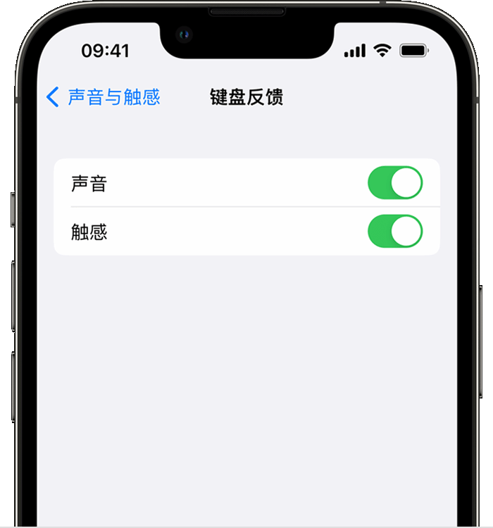 永川苹果14维修店分享如何在 iPhone 14 机型中使用触感键盘 