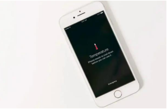 永川苹果手机维修分享iPhone 手机发热如何快速降温 