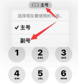 永川苹果14维修店分享iPhone 14 Pro Max使用副卡打电话的方法 