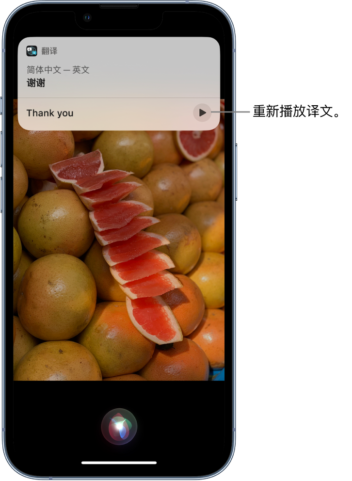 永川苹果14维修分享 iPhone 14 机型中使用 Siri：了解 Siri 能帮你做什么 