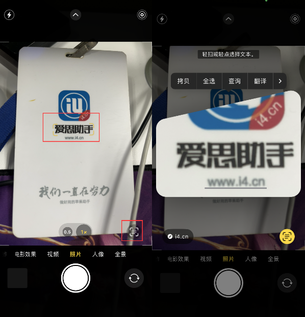 永川苹果手机维修分享升级iOS 16后如何通过相机翻译文本 