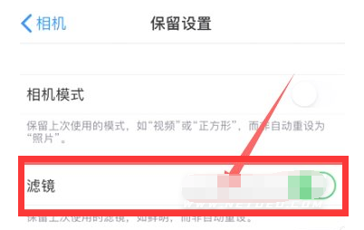 永川苹果13维修分享iPhone13拍照有绿点是怎么回事 