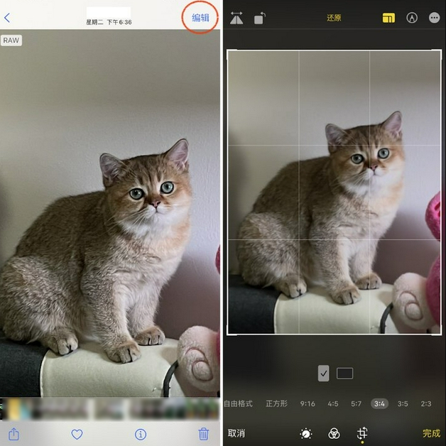 永川苹果手机维修分享苹果 iPhone 12 Pro 拍照会过度锐化 