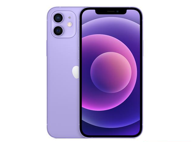 永川苹果手机维修分享现阶段要不要入手紫色版iPhone12 
