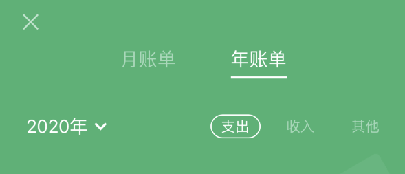永川苹果手机维修分享如何在 iPhone 上查看支付宝和微信年支出账单 