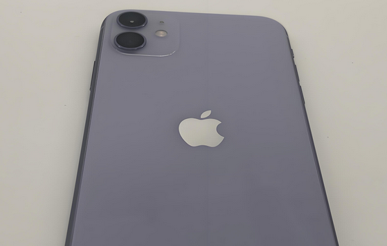 永川苹果11系统维修分享iPhone11手机系统崩溃无法开机如何解决 